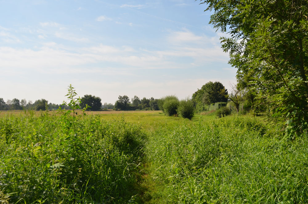 Durchatmen: Natur pur!